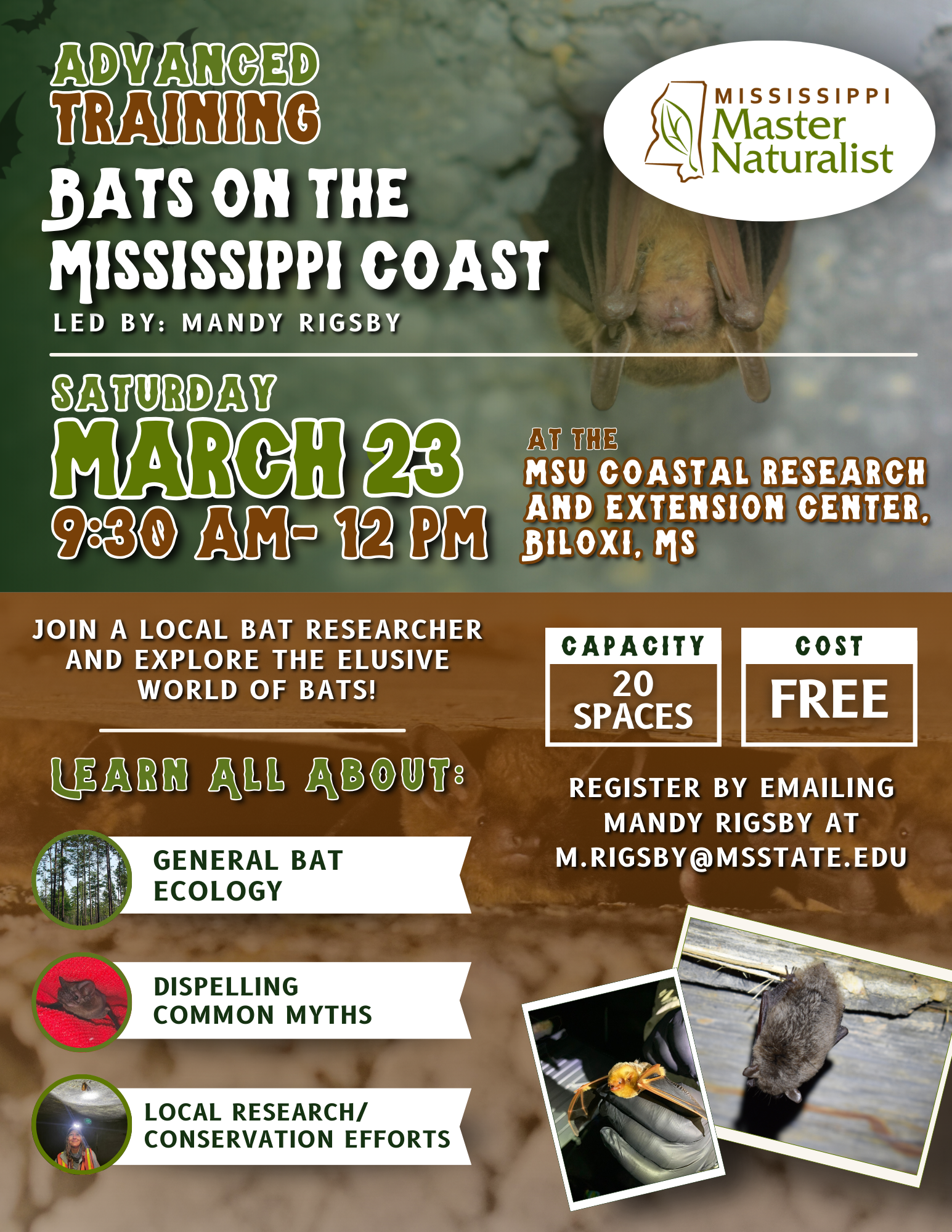 flyer with training information and photos of bats